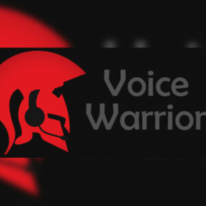 VoiceWarrior Steam CD Key